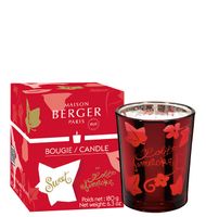 Duftkerze Lolita Lempicka Sweet Rot von Maison Berger