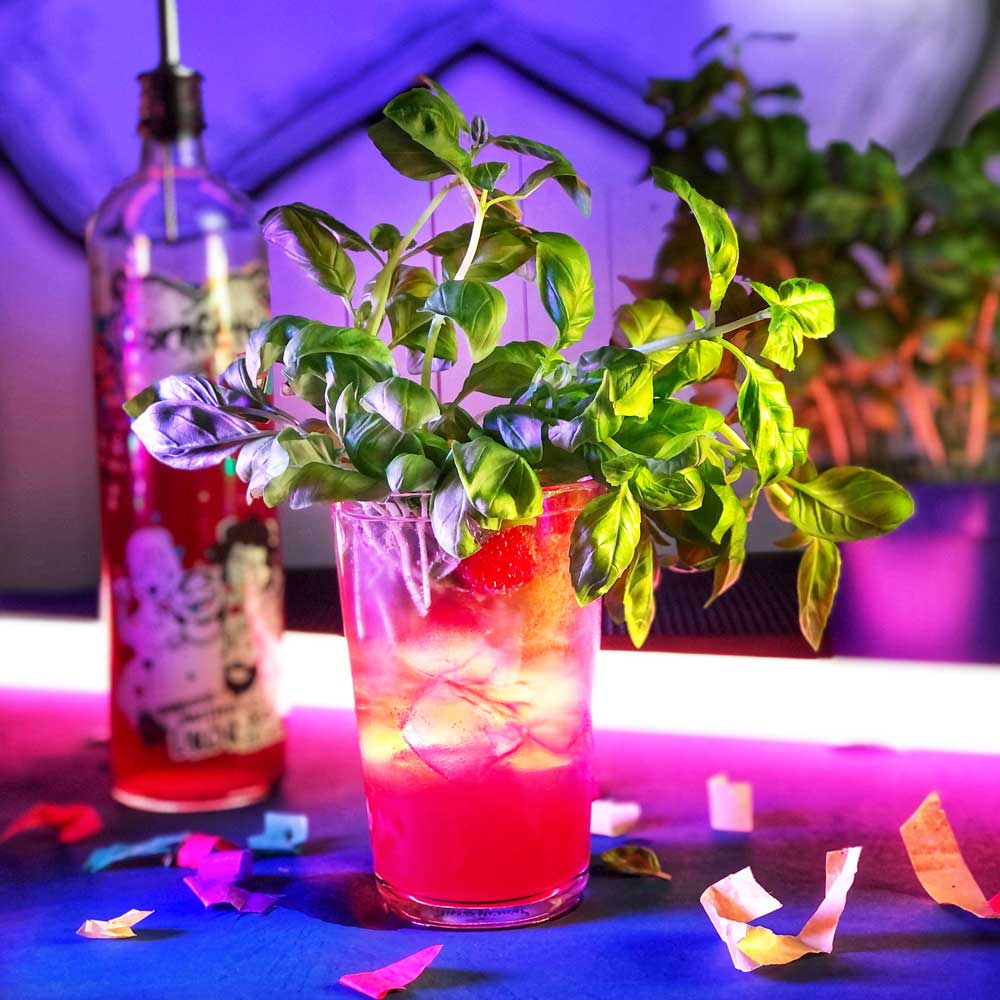 Himmi Kräutergarten