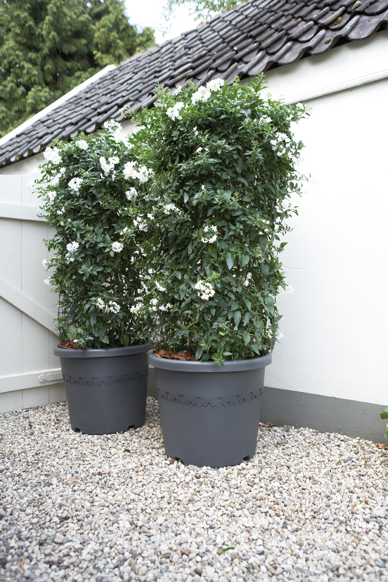 blumenkasten ohne halterung Liva kupfer Balkonblumenkasten ohne Halterung 60 / 80 / 100 cm   Balconyliving.de