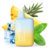 ELFBAR-Lost-Mary-Pineapple-Ice-20mg-Nikotin-.jpg