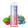 ELFBAR-Lost-Mary-QM600-Blueberry-Sour-Raspberry-20mg-Nikotin-_1.jpg
