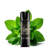 ELFBAR-ELFA-Double-Mint-20mg-Nikotin-2er-Pack_1.jpg ELFBAR-ELFA-Double-Mint-20mg-Nikotin-2er-Pack_1.jpg