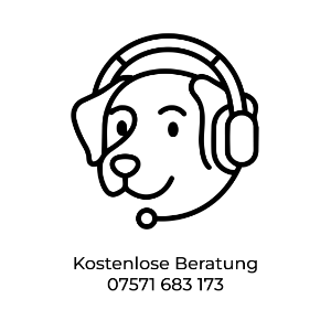 Beschreibung des Bildes