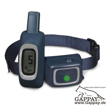 petsafe electric collar