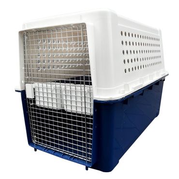 pp60 dog crate