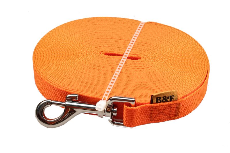 orange leash