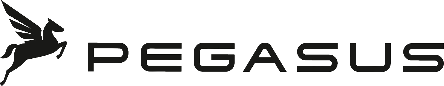 PEGASUS Logo