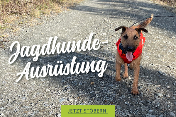 Drückjagd