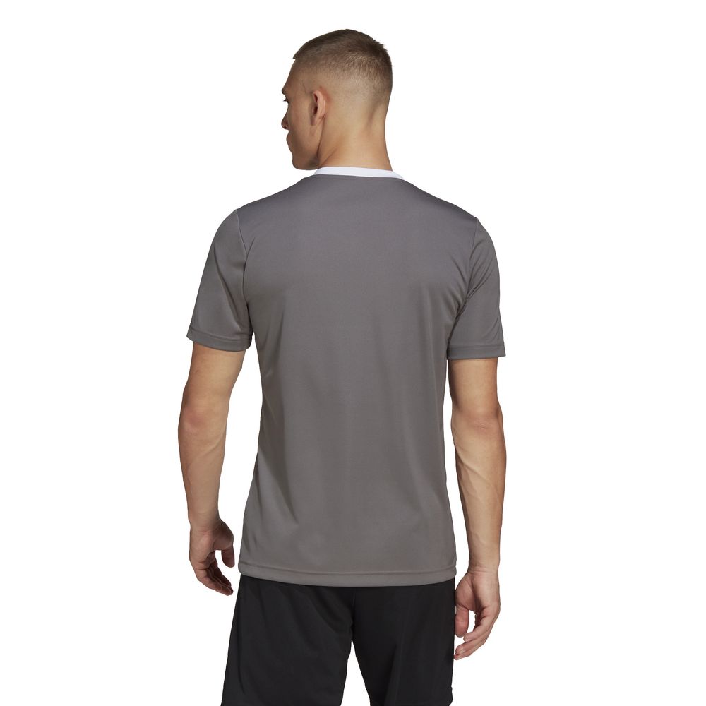 adidas Herren Entrada 22 Trikot | plentyShop LTS