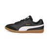 PU106696-001.jpg PU106696-001.jpg