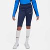 NIDR1369-451.jpg NIDR1369-451.jpg