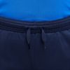 NIDR1369-451_5.jpg NIDR1369-451_5.jpg