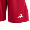 ADIIK5750-000_2.jpg ADIIK5750-000_2.jpg