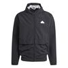 ADIIR5192-000_1.jpg ADIIR5192-000_1.jpg