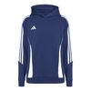 ADIIR7504-000_1.jpg ADIIR7504-000_1.jpg