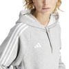 ADIIR7509-000_8.jpg ADIIR7509-000_8.jpg