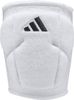 ADIIW1502-000.jpg ADIIW1502-000.jpg