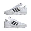 ADIID4053-000_8.jpg