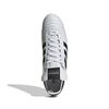 ADIID4050-000_1.jpg