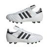 ADIID4050-000_8.jpg