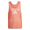 ADIJF3245-000.jpg ADIJF3245-000.jpg