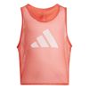 ADIJF3253-000.jpg ADIJF3253-000.jpg