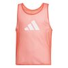 ADIJF3249-000.jpg ADIJF3249-000.jpg
