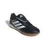 ADIIE1155-000_4.jpg ADIIE1155-000_4.jpg