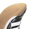 ADIIE1155-000_8.jpg ADIIE1155-000_8.jpg