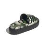 ADIJI4754-000_6.jpg ADIJI4754-000_6.jpg