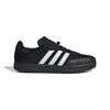 ADIIE3238-000.jpg