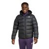 ADIJL7430-000_1.jpg ADIJL7430-000_1.jpg