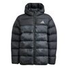 ADIJL7399-000.jpg