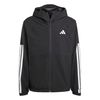 ADIJM1056-000.jpg