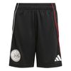 ADIJP1746-000.jpg ADIJP1746-000.jpg