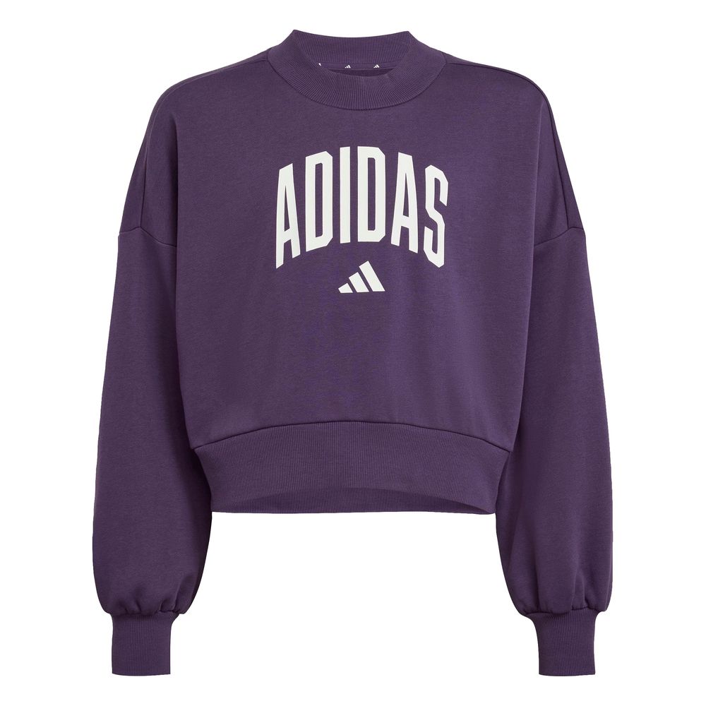 adidas Jg Clgt Ft Swt - aurplu/white