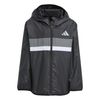 ADIJV9857-000.jpg ADIJV9857-000.jpg