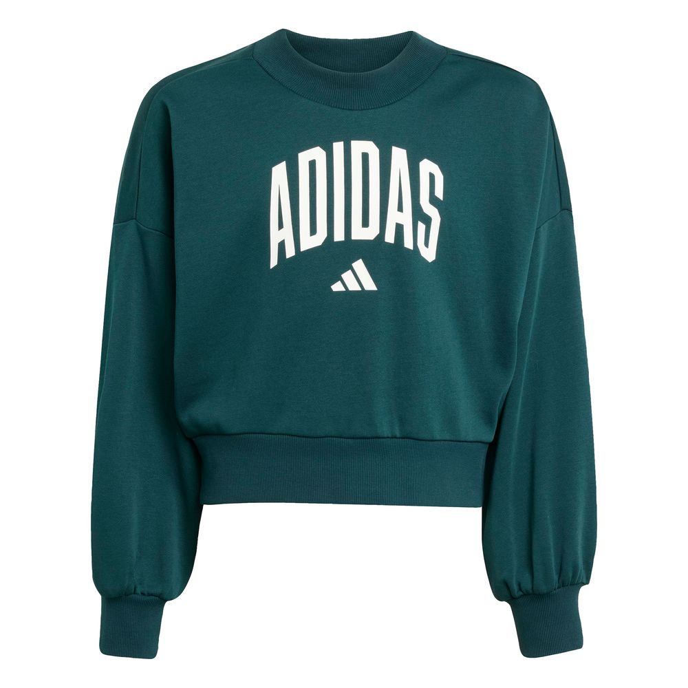 adidas Jg Clgt Ft Swt - aurivy/white