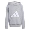 ADIJV9900-000.jpg ADIJV9900-000.jpg