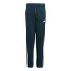 ADIJW3406-000.jpg ADIJW3406-000.jpg