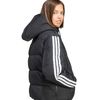 ADIJW3429-000_5.jpg ADIJW3429-000_5.jpg