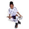ADIKC5899-000_8.jpg ADIKC5899-000_8.jpg