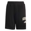ADIKS5522-000.jpg ADIKS5522-000.jpg