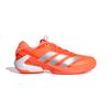 ADIJR1737-000.jpg ADIJR1737-000.jpg