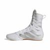 ADIJS4685-000_4.jpg ADIJS4685-000_4.jpg