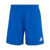 ADIJZ6522-000.jpg ADIJZ6522-000.jpg