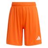 ADIJZ6529-000.jpg ADIJZ6529-000.jpg