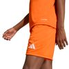 ADIJZ6529-000_5.jpg ADIJZ6529-000_5.jpg