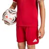 ADIJZ6528-000_5.jpg ADIJZ6528-000_5.jpg