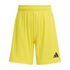 ADIJZ6525-000.jpg ADIJZ6525-000.jpg